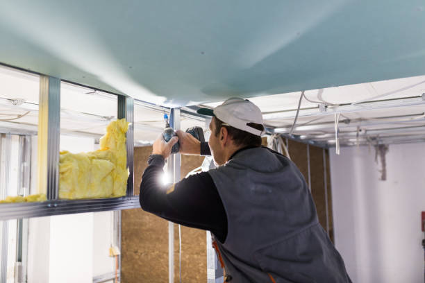 Best Commercial Insulation in Shavertown, PA