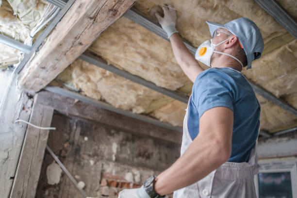 Professional Insulation Contractor in Shavertown, PA