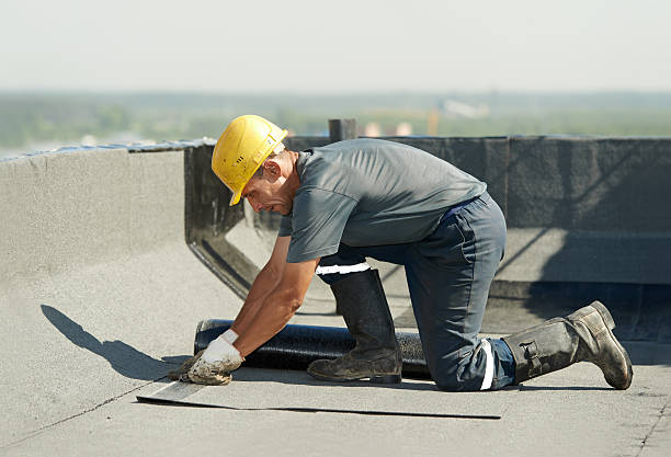 Best Specialized Insulation Services in Shavertown, PA